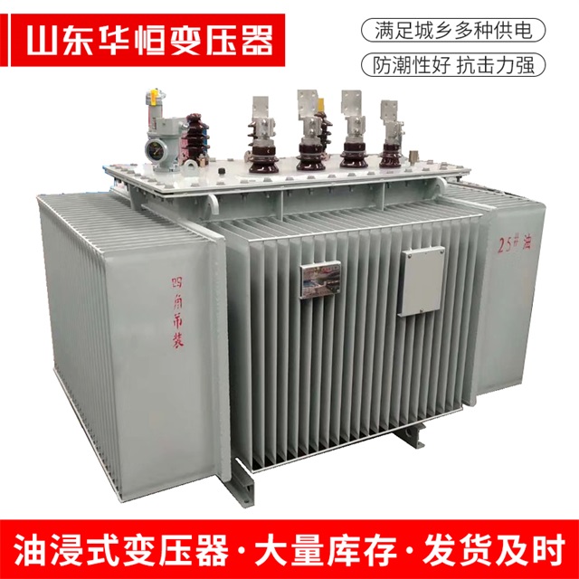 S13-10000/35庄河庄河庄河电力变压器厂家
