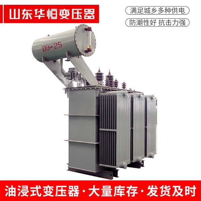S11-10000/35庄河庄河庄河电力变压器厂家